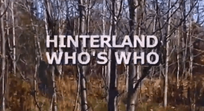 hinterland